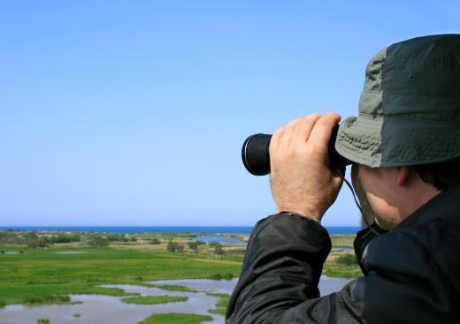 A man bird watching with binoculars.