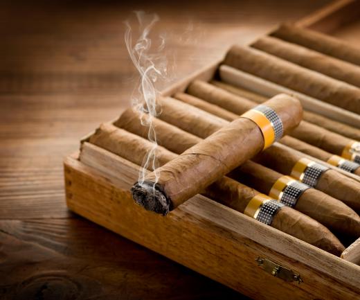 Real Cuban cigars should be well-rolled and of uniform length.