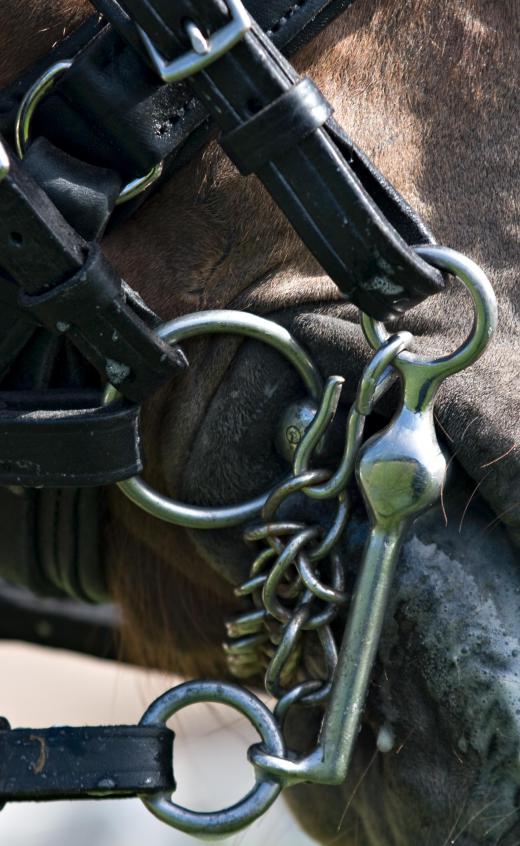 Except for bitless types, most bridles use bits, or metal mouth pieces, for control.