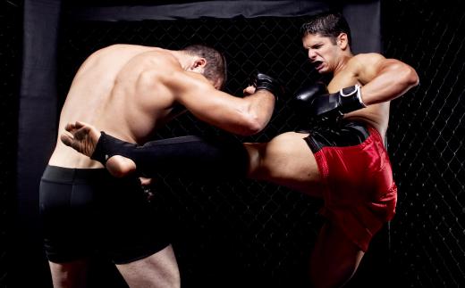 Brazilian Jiu-Jitsu became famous in North America through the Ultimate Fighting Championships.