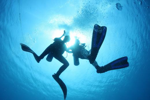 Wetsuits keep divers warm while providing some buoyancy and skin protection.