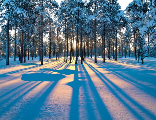 Using snowshoes, a person can make winter excursions to places otherwise inaccessible.