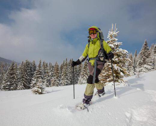 Some skiers prefer the backcountry to a ski resort.