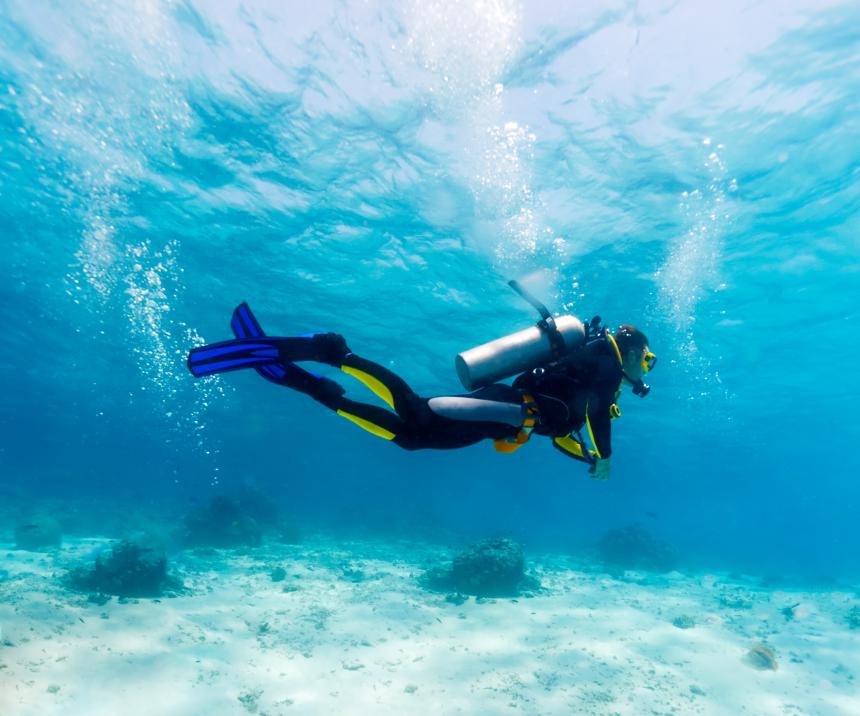 Scuba diving equipment includes: a wet suit, fins, an air tank, a mask, and pressure gauges.
